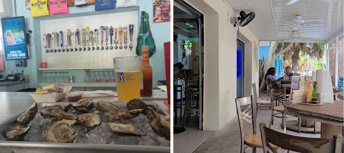 The Nauti Oar Gallery Image 3